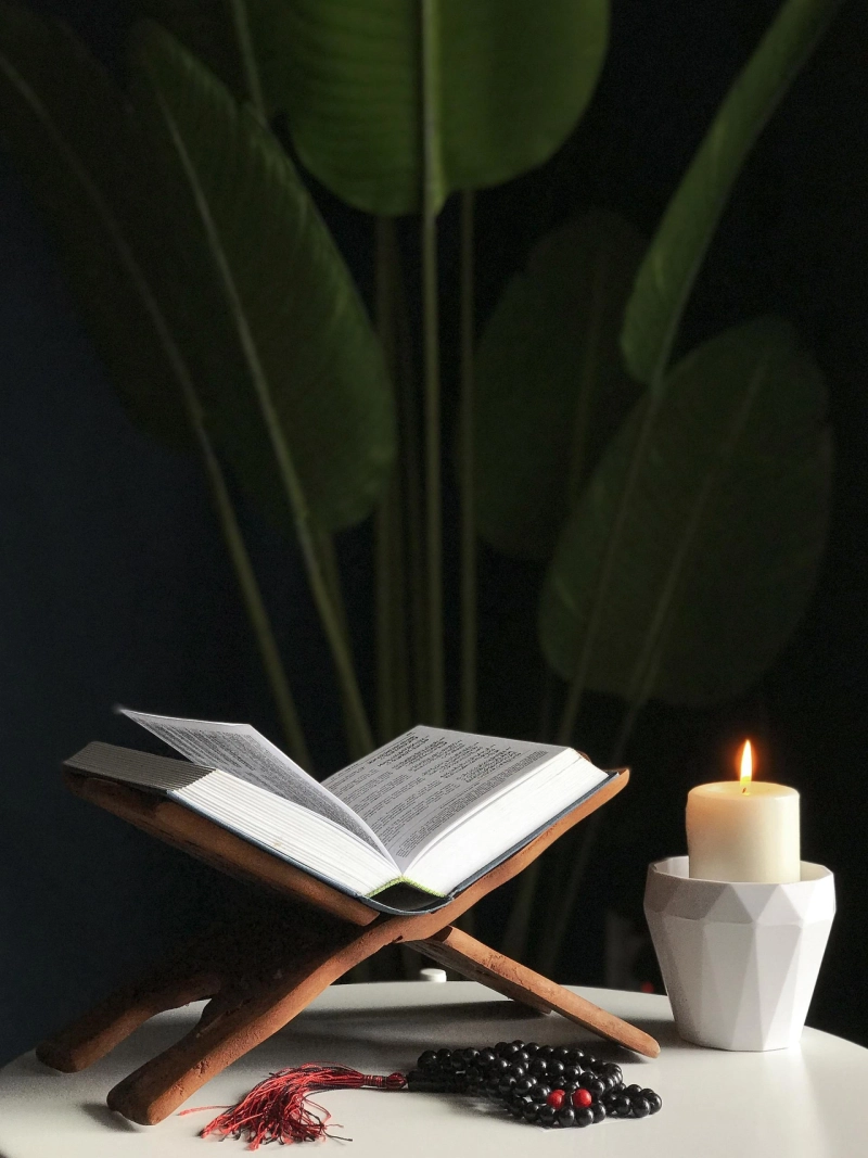 Become a better human by learning Quran online
