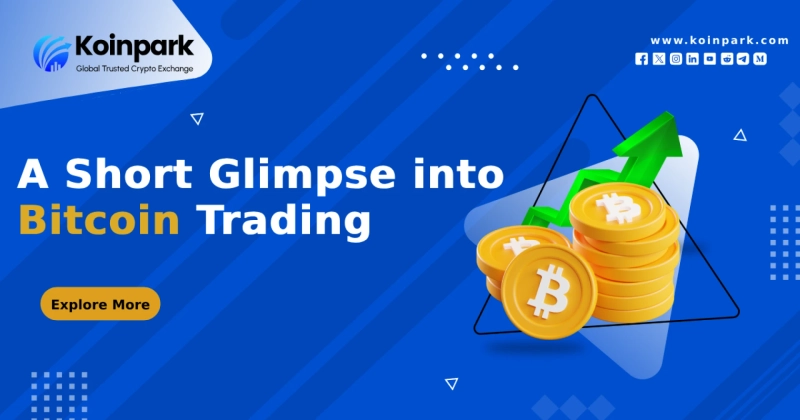 A Short Glimpse into Bitcoin Trading