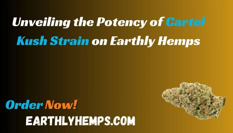 Cultivating Excellence: Unveiling the Potency of Cartel Kush Strain on Earthly Hemps