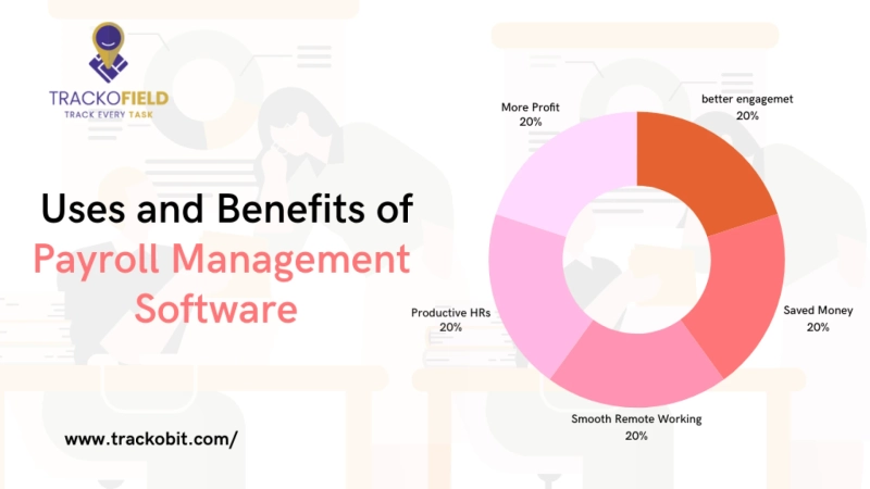 Practical Uses and Benefits of Payroll Management Software