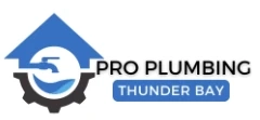 Pro Plumbing Thunder Bay: Your Trusted Local Experts for Every Leak and Clog
