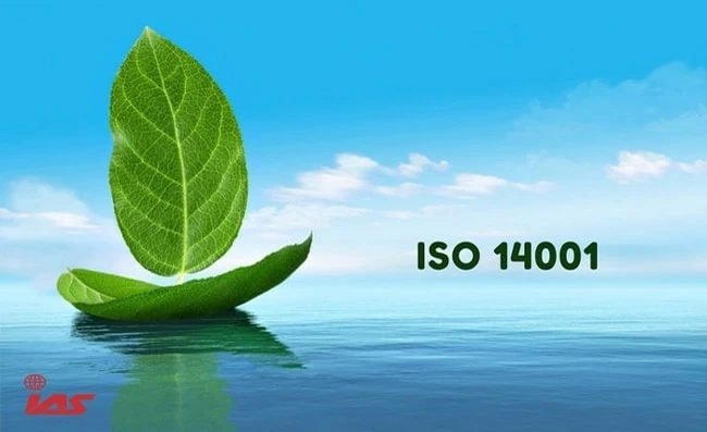 ISO 14001 Lead Auditor Training: Building Expertise in Environmental Management Systems