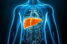 Thailand’s Role in Global Liver Care: A Breakdown of Transplant Costs