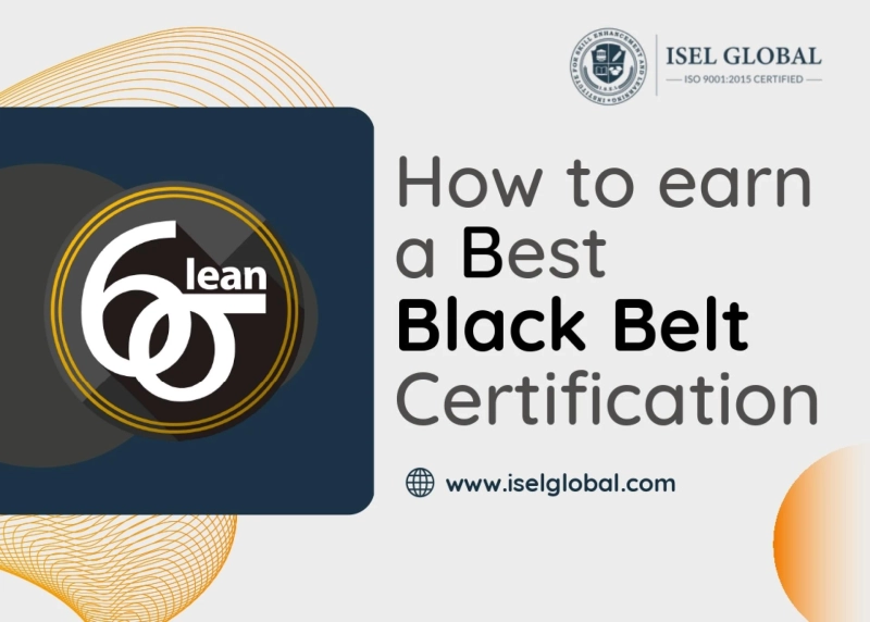 What Careers are there for Lean Six Sigma Black Belts?