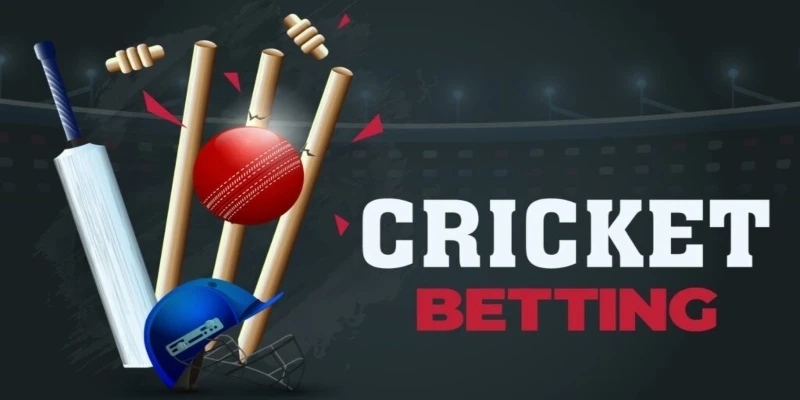 Satta Matka App Development Company: Your Best Bet For Cricket Betting Apps