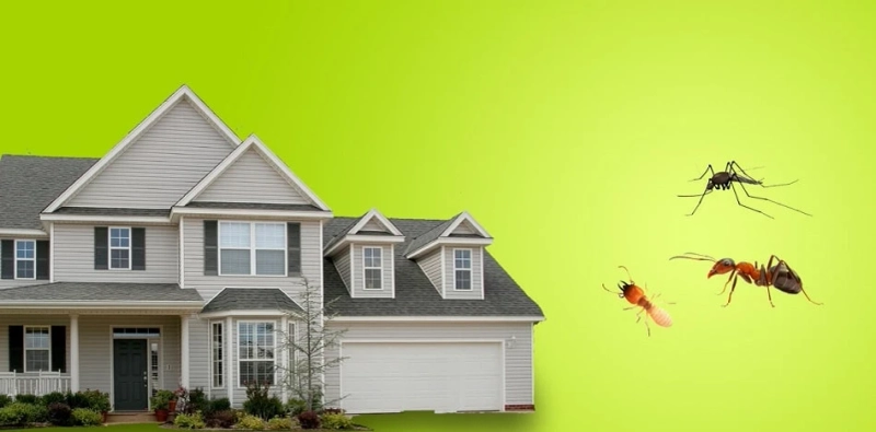A Do-It-Yourself Pest Control Guide - Precaution & Method