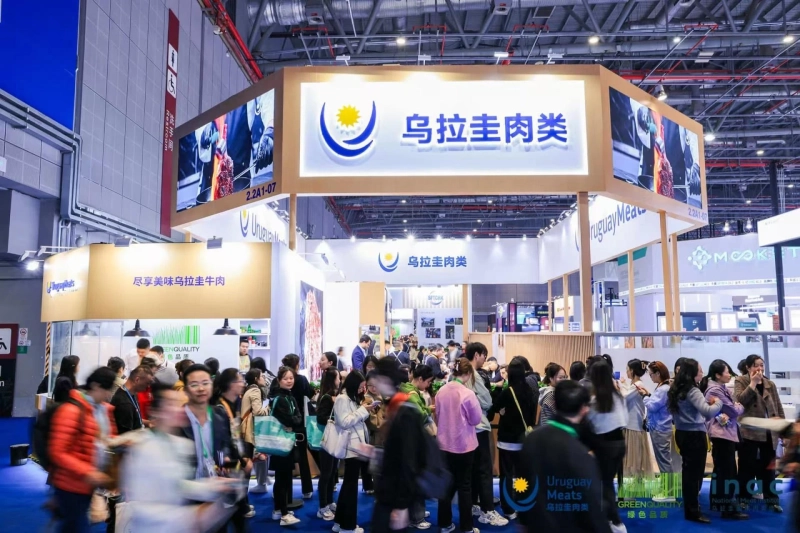 Questions To Ask Before Engaging in The Services Of Exhibition Booth Design Company