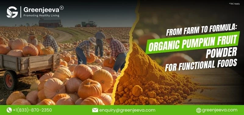 From Farm to Formula: How Organic Pumpkin Powder Powers Modern Functional Foods