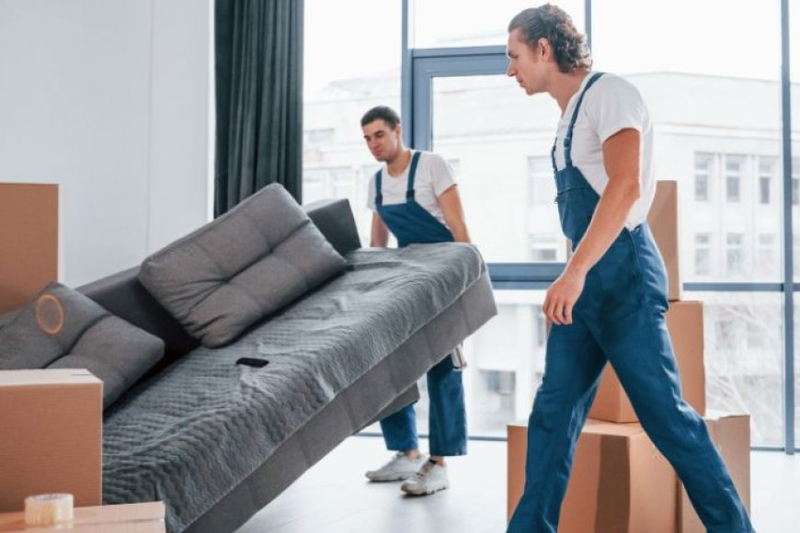 Stress-Free Relocation: Packers and Movers in Noida