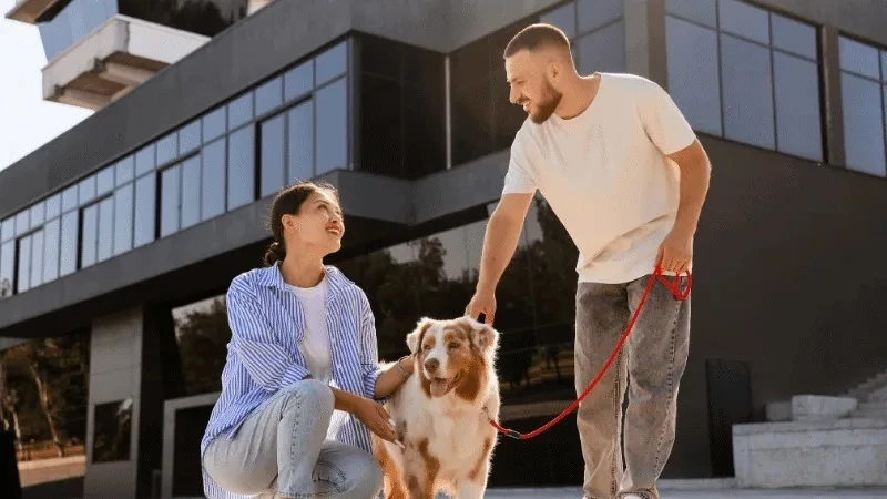 Puppy Socialization Timeline: What to Focus on Each Month
