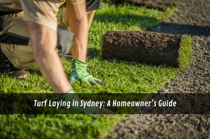 Turf Laying in Sydney: A Homeowner’s Guide