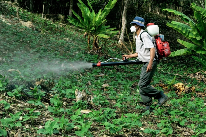 How to Make Your Home Less Attractive to Pests Without Harsh Chemicals