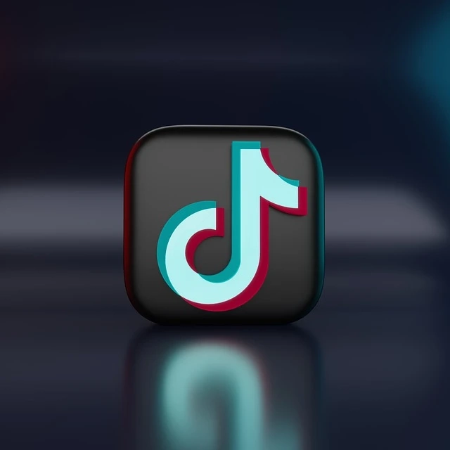 How To Download TikTok Videos Without Watermark