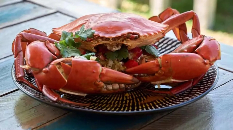 Sustainable Seafood Choices at Captain White\'s