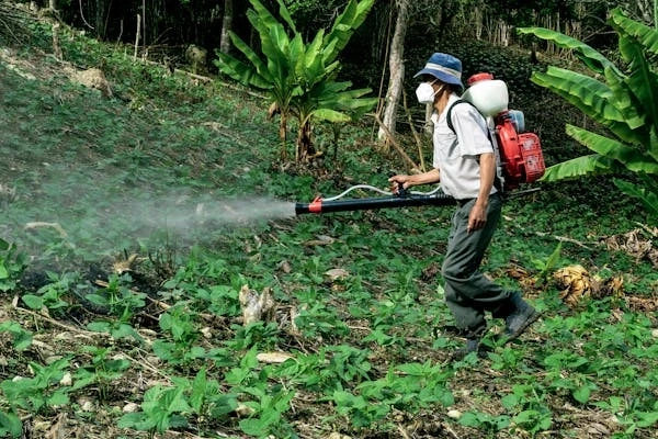 Sulfur Fertilizers Global Market 2024 - By Trends, Demand, Share, Growth, Forecast To 2033