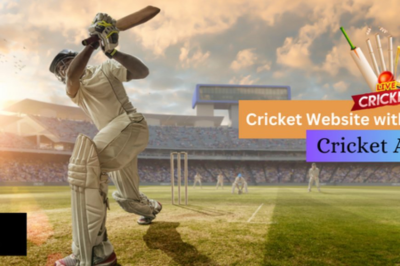 Cricket Fever: How IPL Transforms Indian Summer