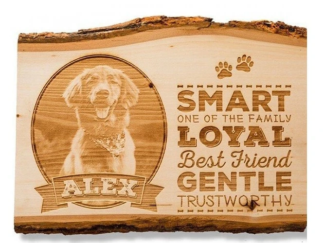 Affordable CNC Wood Laser Cutting Machine for Crafts