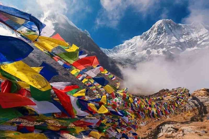Top 5 Treks in Himachal Pradesh for Beginners