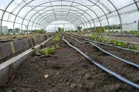 Indoor Farming Technology In-Depth Analysis-Facts-Data-Report Importance | BIS Research