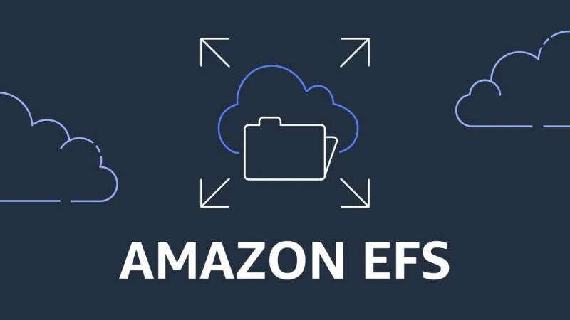 Learn how to use AWS EFS cloud storage to sort out your one of the problems.