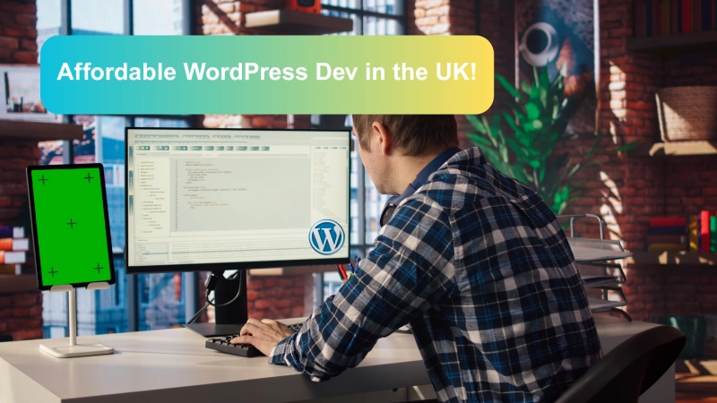 How much is WordPress development service UK?