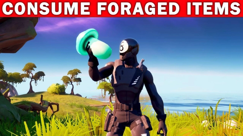 Location of Fortnite Foraged Items: Mushrooms, Apples, Coconuts & Slurpshorooms