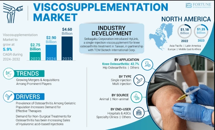 Viscosupplementation Market Forecast, Growth Potential, and Future Trends