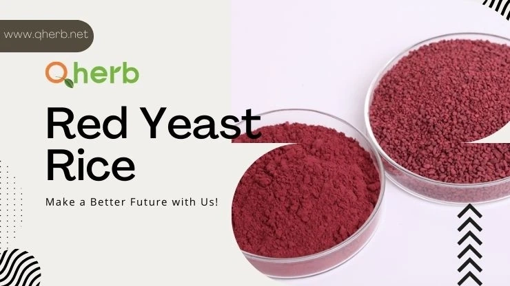 Crucial Health Benefits Of Consuming Red Yeast Rice