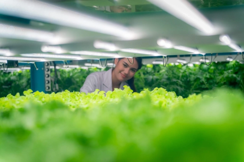 How to Choose the Right Wattage for Your LED Grow Lights