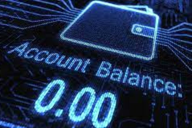 The Role of Zero Balance Accounts in Promoting Financial Inclusion