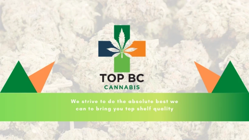 Diamond Concentrate Storage Tips for Canadian Consumers
