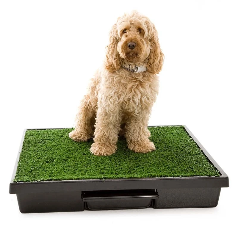 Top benefits of using Indoor Dog Potty System