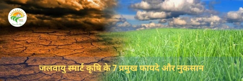 7 Key Pros and Cons of Climate Smart Agriculture
