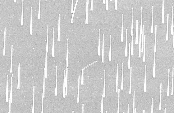 Nanowires Market Size, Trends, Global Industry Overview, Analysis and Forecast 2023-2028