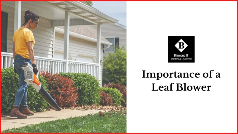 Importance of a Leaf Blower