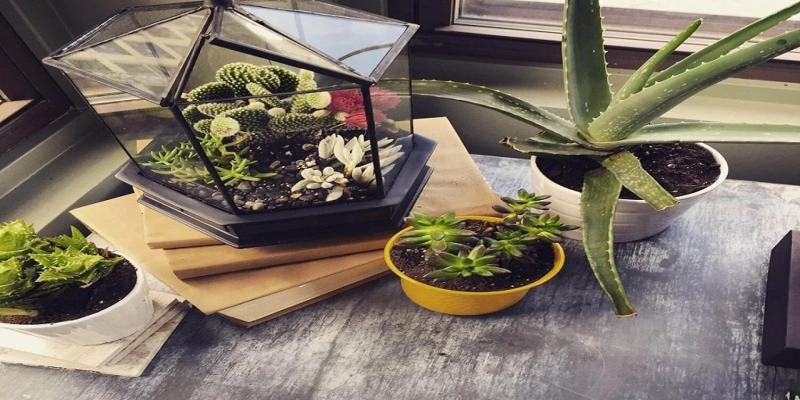 Why Copper Flower Boxes Are Superior