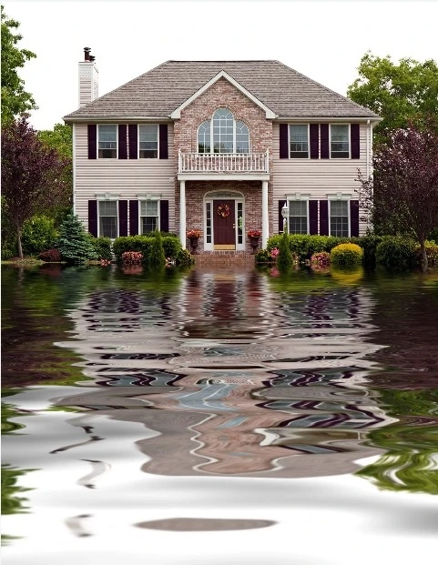 Why Smart Homeowners in Pinellas Park Rethink Insurance Before Renewal