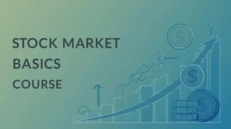 Turning Knowledge into Profits: A Newbie's Course to the Stock Market Basics