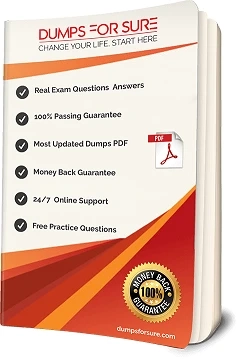 DAS-C01  Dumps Questions Answers