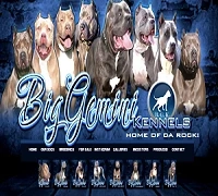 Unveiling the World of Dog Breeding Kennels for Pitbulls