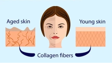Fish Collagen Peptide: Extraction, Benefits, and Applications in Health & Beauty