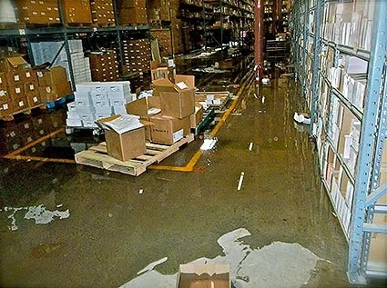 Servprominnetonka.com Reveals Why Immediate Mold Removal And Remediation Is Important