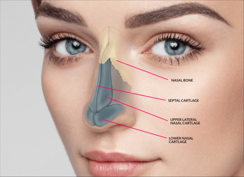 How Long Does Rhinoplasty Surgery Take?