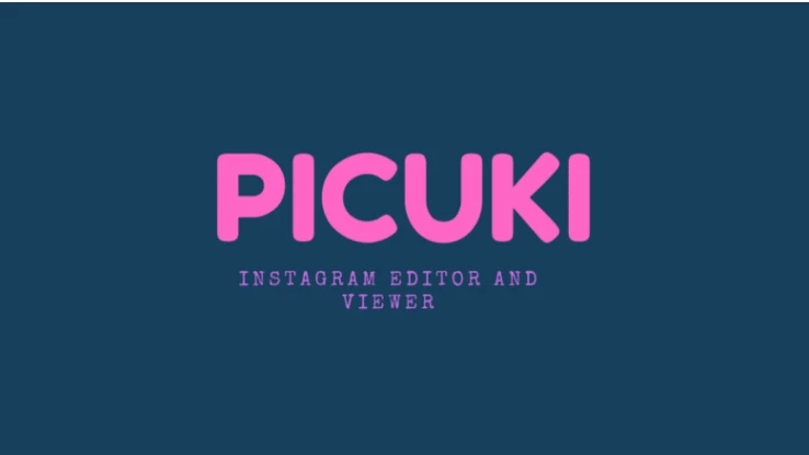 Guide to Picuki Instagram Viewer and Editor