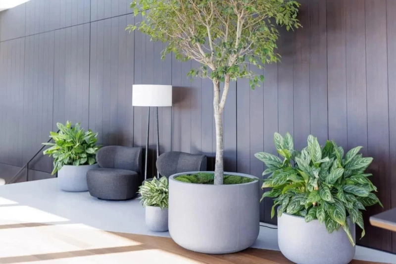 Office Greenery Consultation Pricing Guide for Businesses