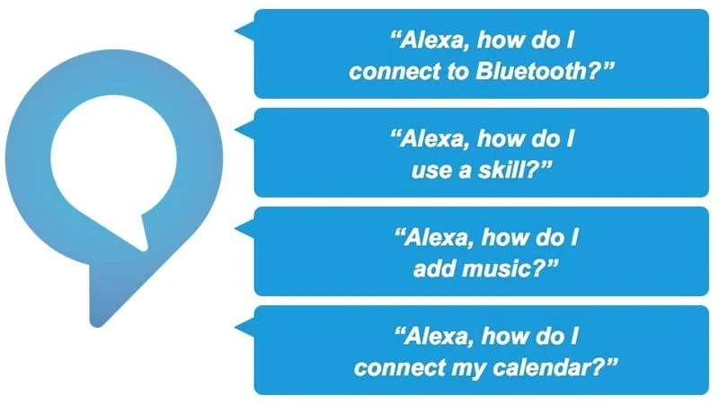 How to Use the Alexa App?