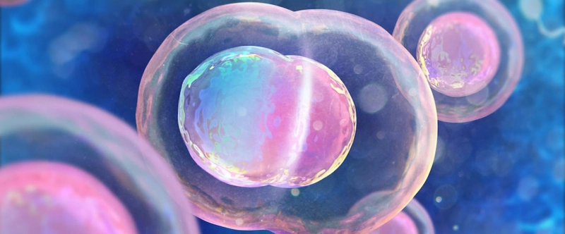 What is Stem Cell Therapy in Delhi NCR?