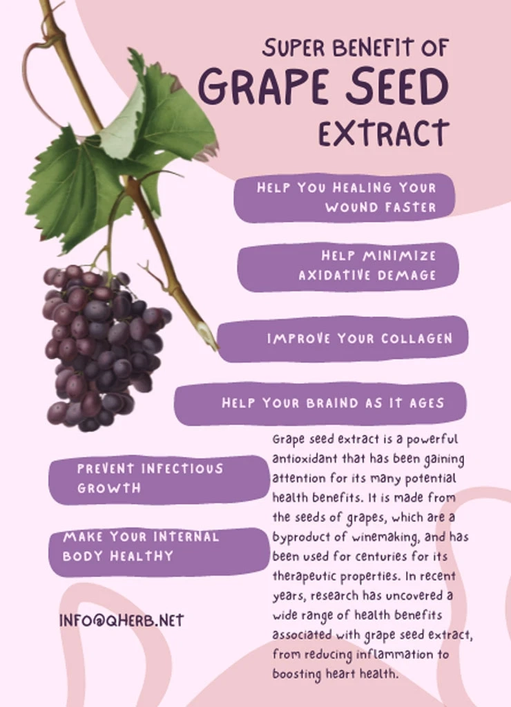 Harnessing the Power of Grape Seed Extract for Health Benefits