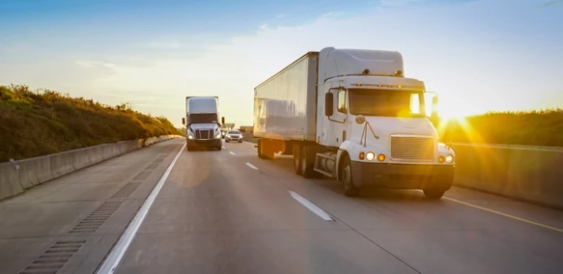 The Advantages of Choosing Local Movers in San Diego