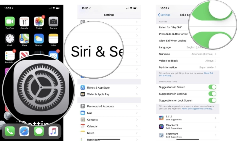 How to Set up Siri on iOS Device?